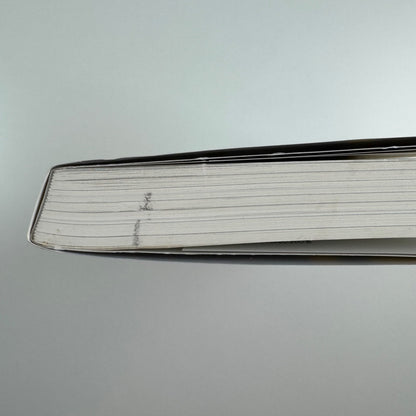 The Music of Painting by Peter Vergo | Phaidon. 2012 reprint