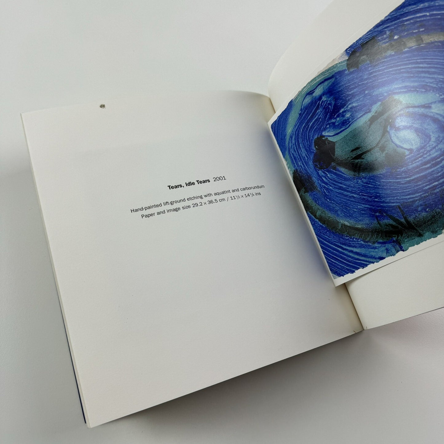Howard Hodgkin. Vol I. Small Prints | Alan Cristea Gallery 2001