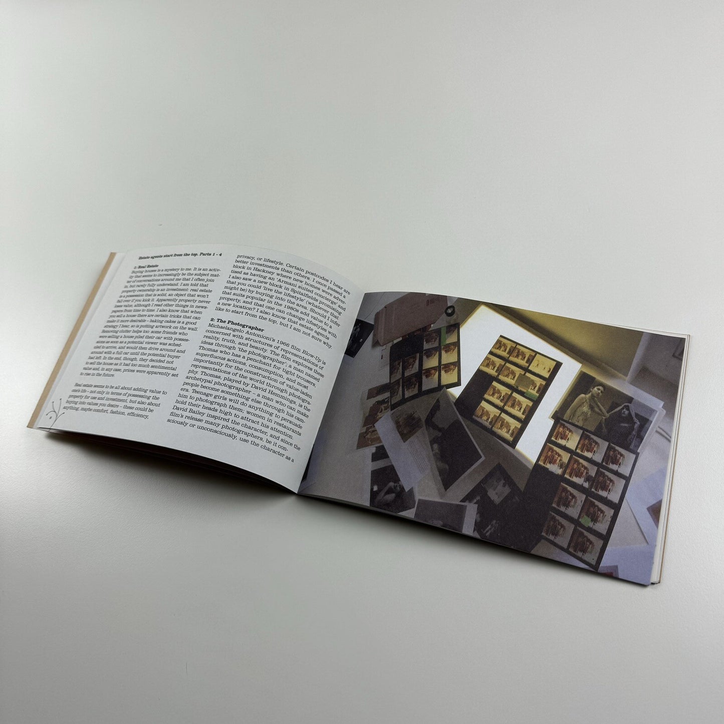 Paradise Row | Artist Shezad Dawood | Curated by Chris Hammond | Architect Tughela Gino | MOT International, 2005