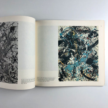 Jackson Pollock: Drawing Into Painting | Bernice Rose | MOMA, 1980