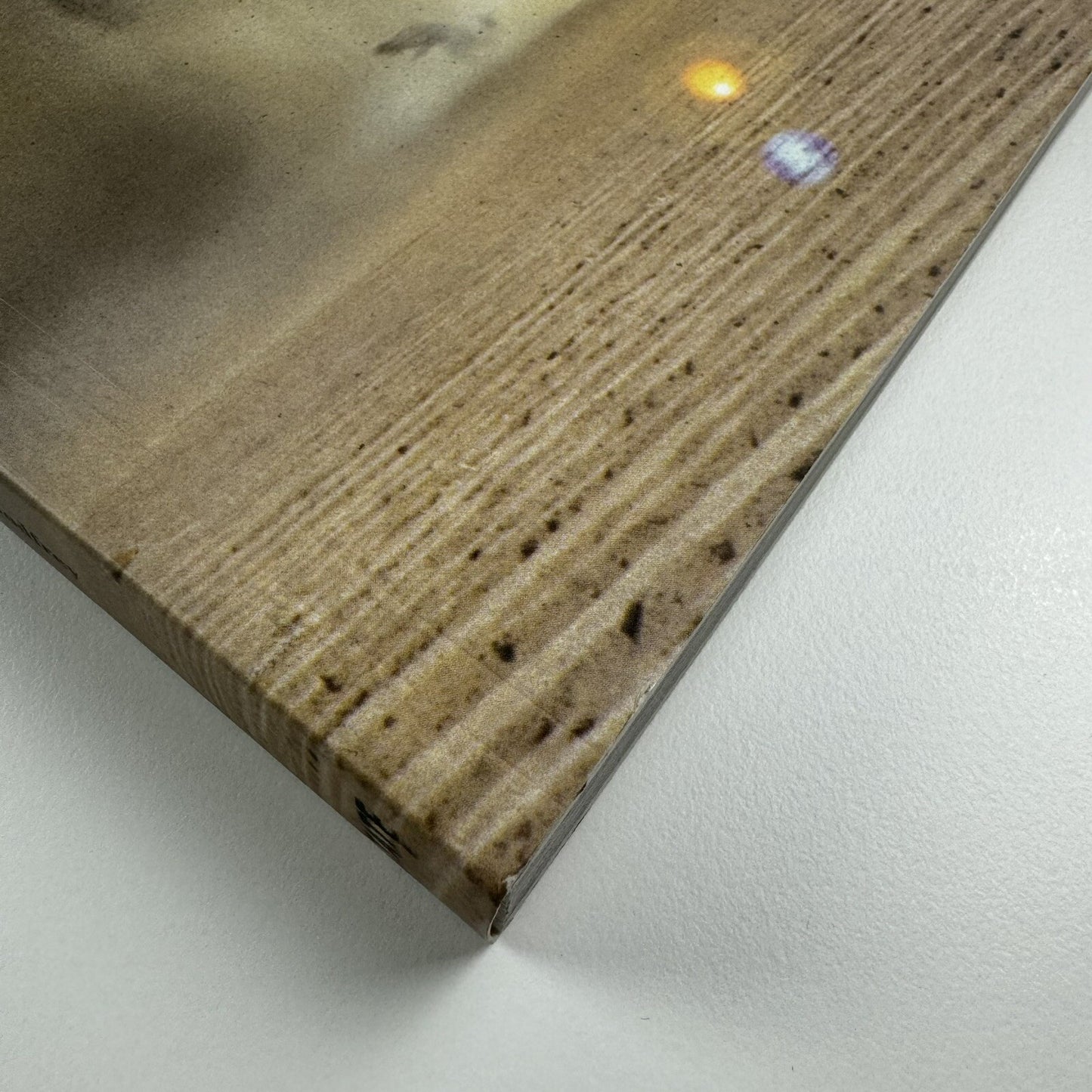 Francis Alÿs: A Story of Deception | Klaus Biesenbach & Mark Godfrey | Tate, 2010
