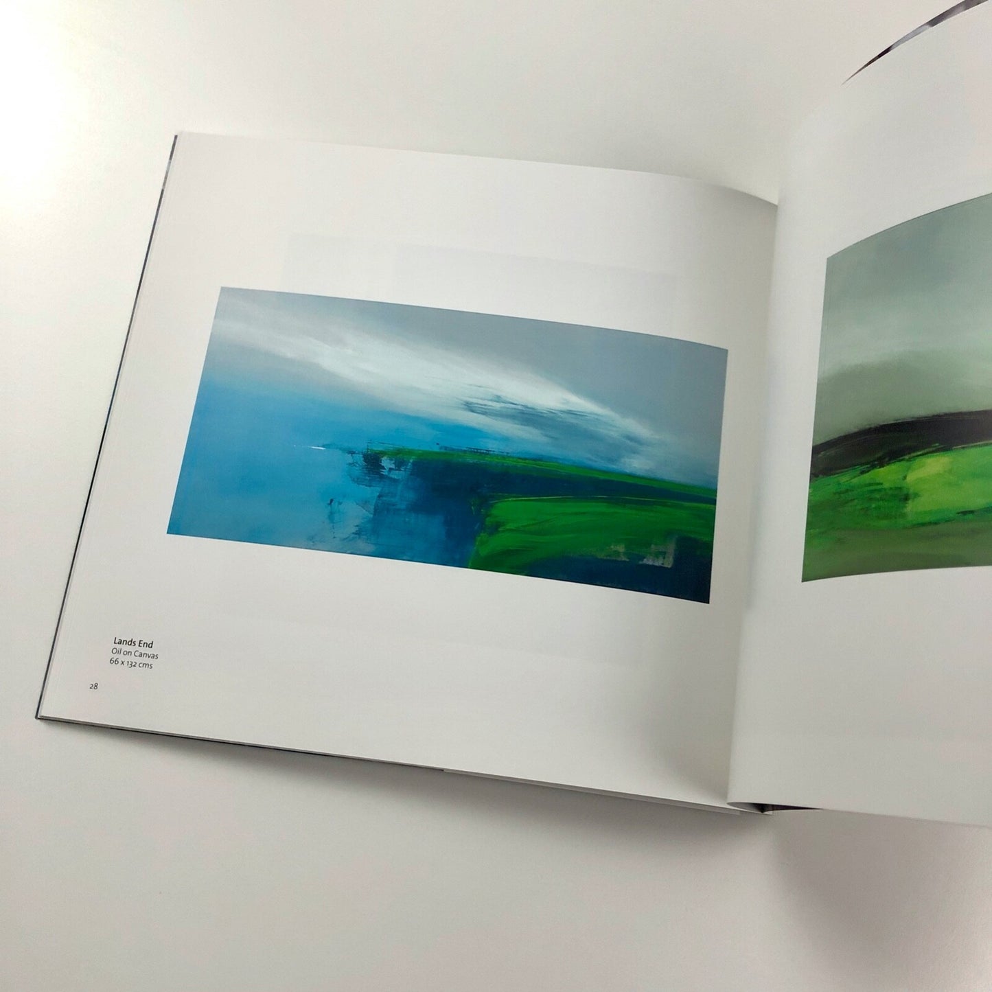 Neil Canning. Fusion | Lemon Street Gallery exhibition catalogue, 2015