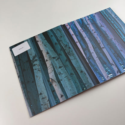 Anthony James. Morphic Fields - Skulpturen | Hatje Cantz, 2014