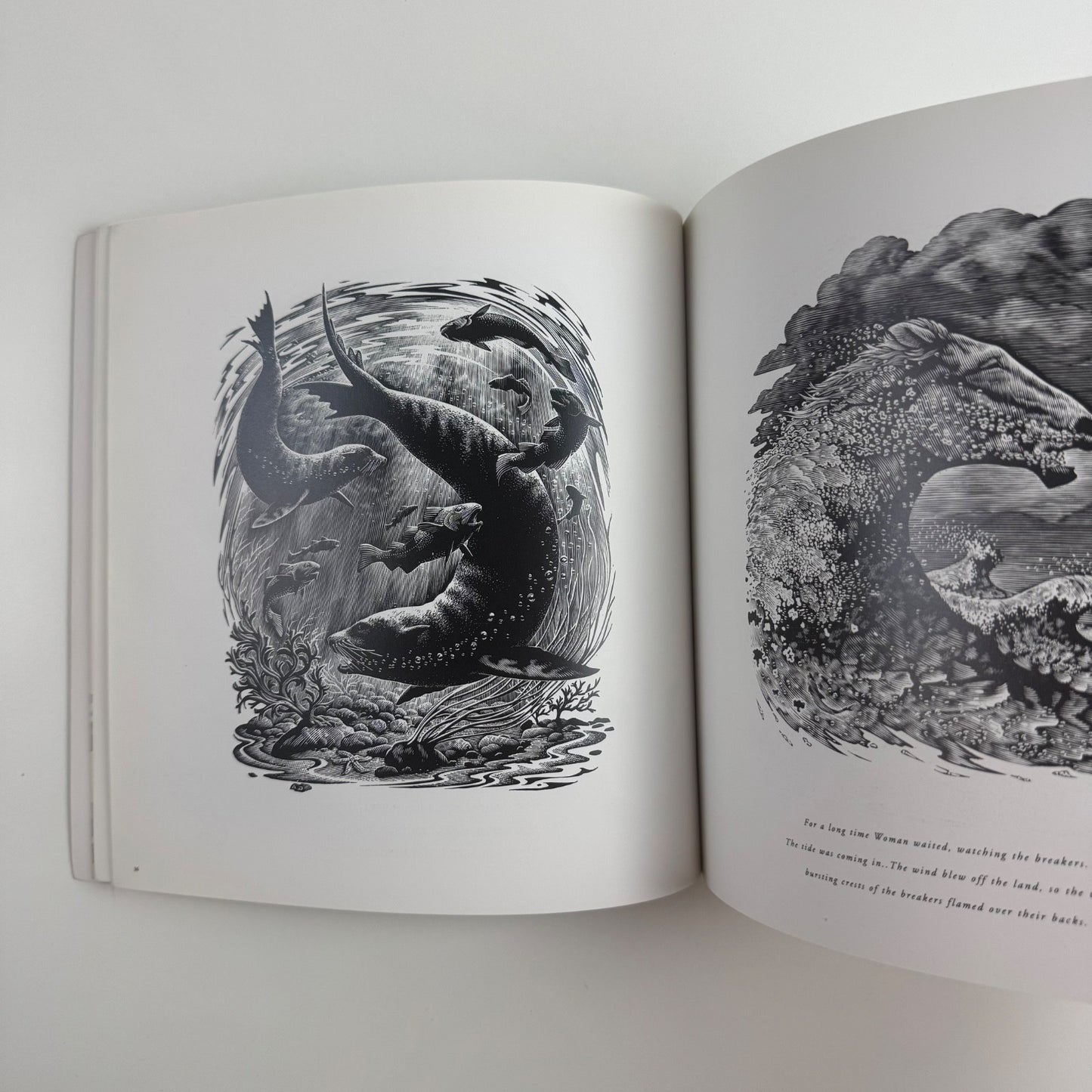Andrew Davidson. Pages to View | undated catalogue
