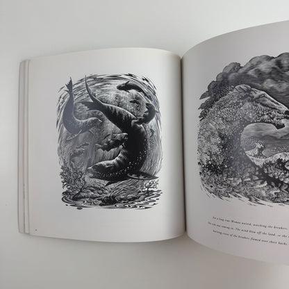 Andrew Davidson. Pages to View | undated catalogue