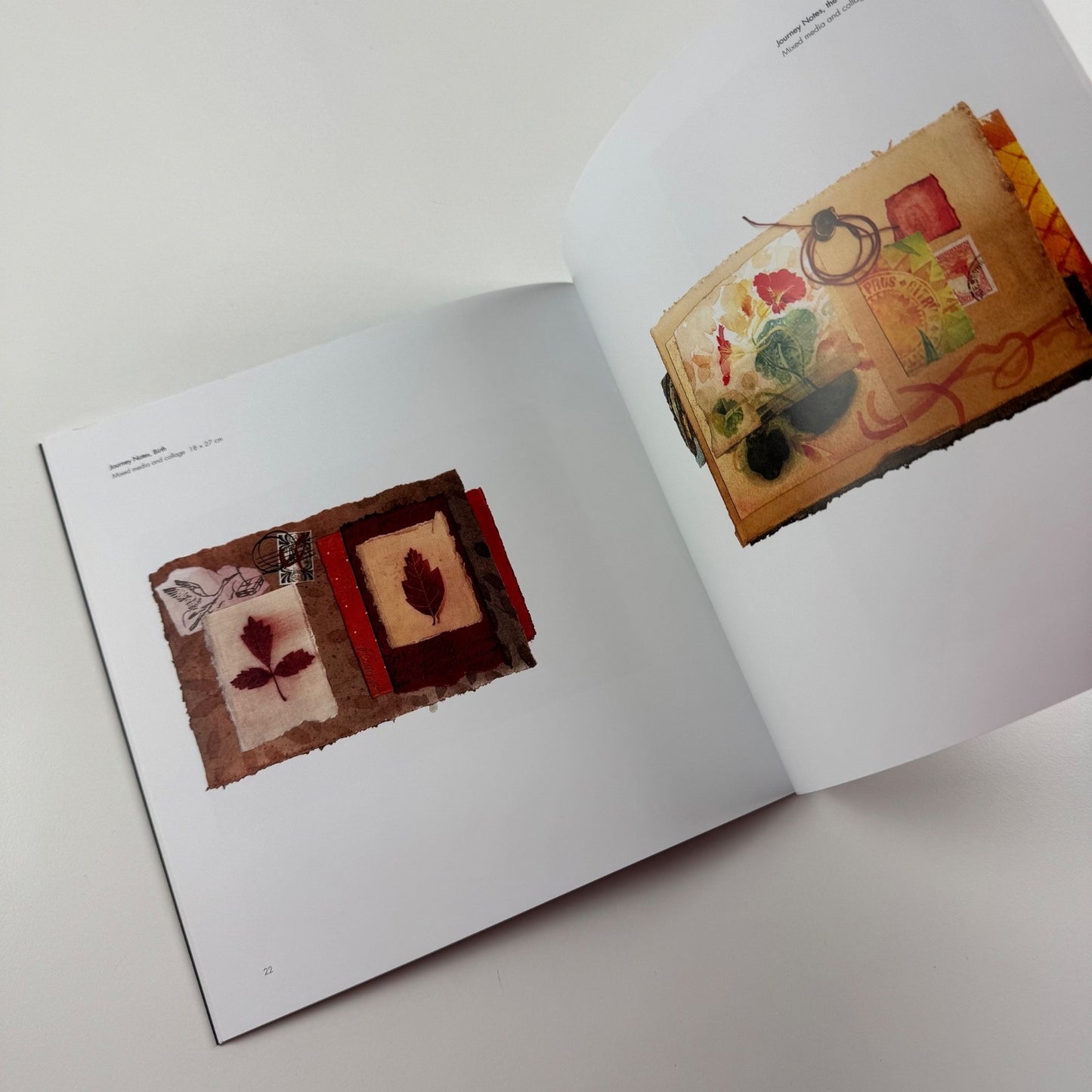 Ann Ross | Lemon Street Gallery, 2012