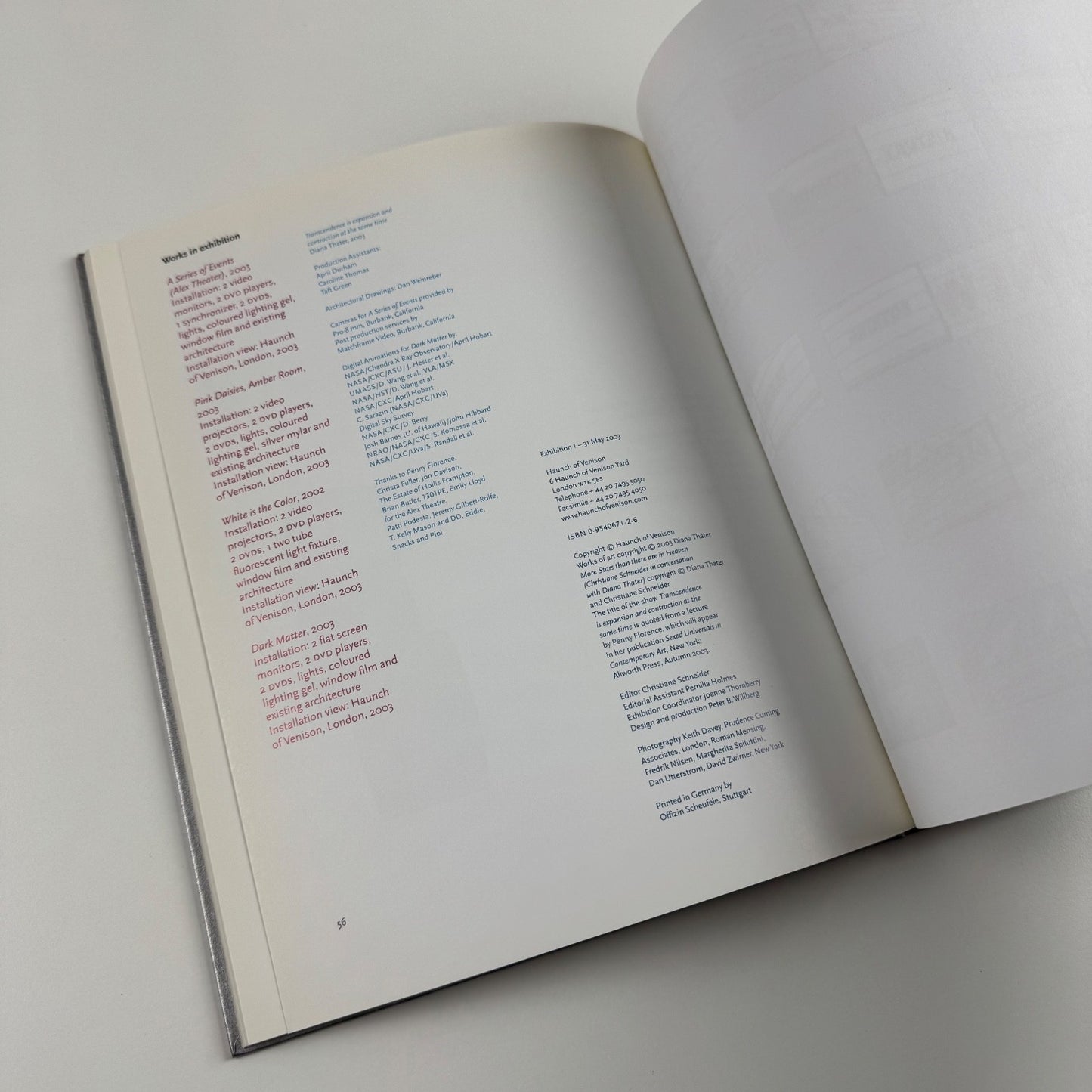 Diana Thater. Transcendence is expansion and contraction at the same time | Haunch of Venison, 2003