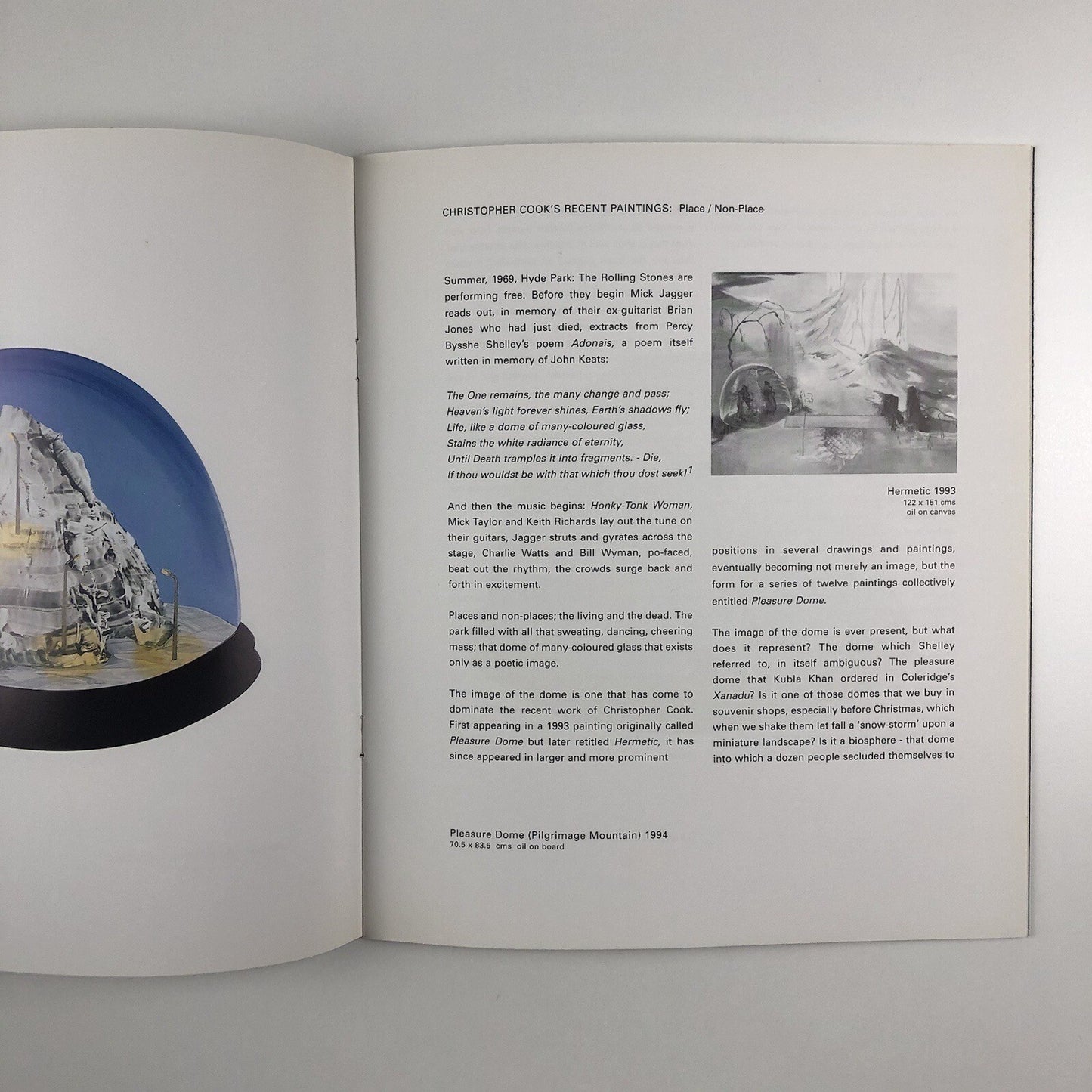 Pleasure-Dome Paintings by Christopher Cook | Essay by Tony Godfrey, 1995