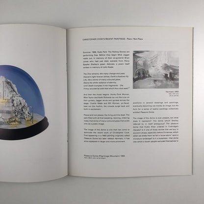 Pleasure-Dome Paintings by Christopher Cook | Essay by Tony Godfrey, 1995