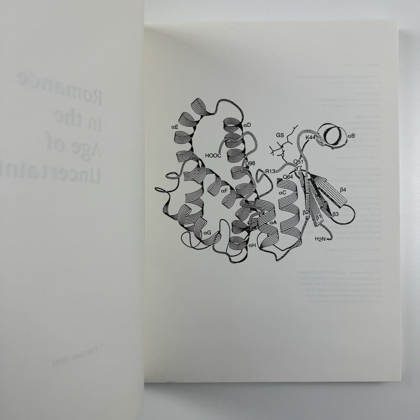 Romance in the Age of Uncertainty | Damien Hirst | White Cube catalogue | Jay Jopling, 2003