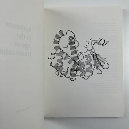 Romance in the Age of Uncertainty | Damien Hirst | White Cube catalogue | Jay Jopling, 2003