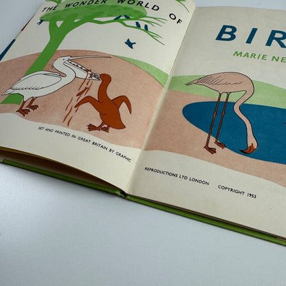 The Wonder World of Birds by Marie Neurath | Max Parrish, 1953 Isotype Institute