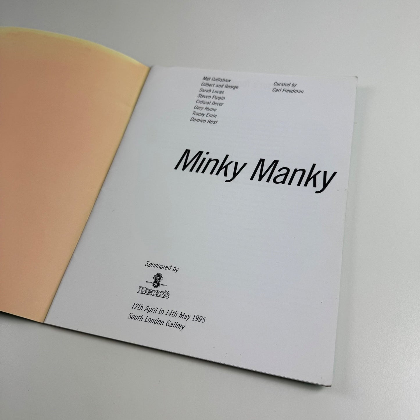 Minky Manky. Curated by Carl Freedman | South London Gallery, 1995
