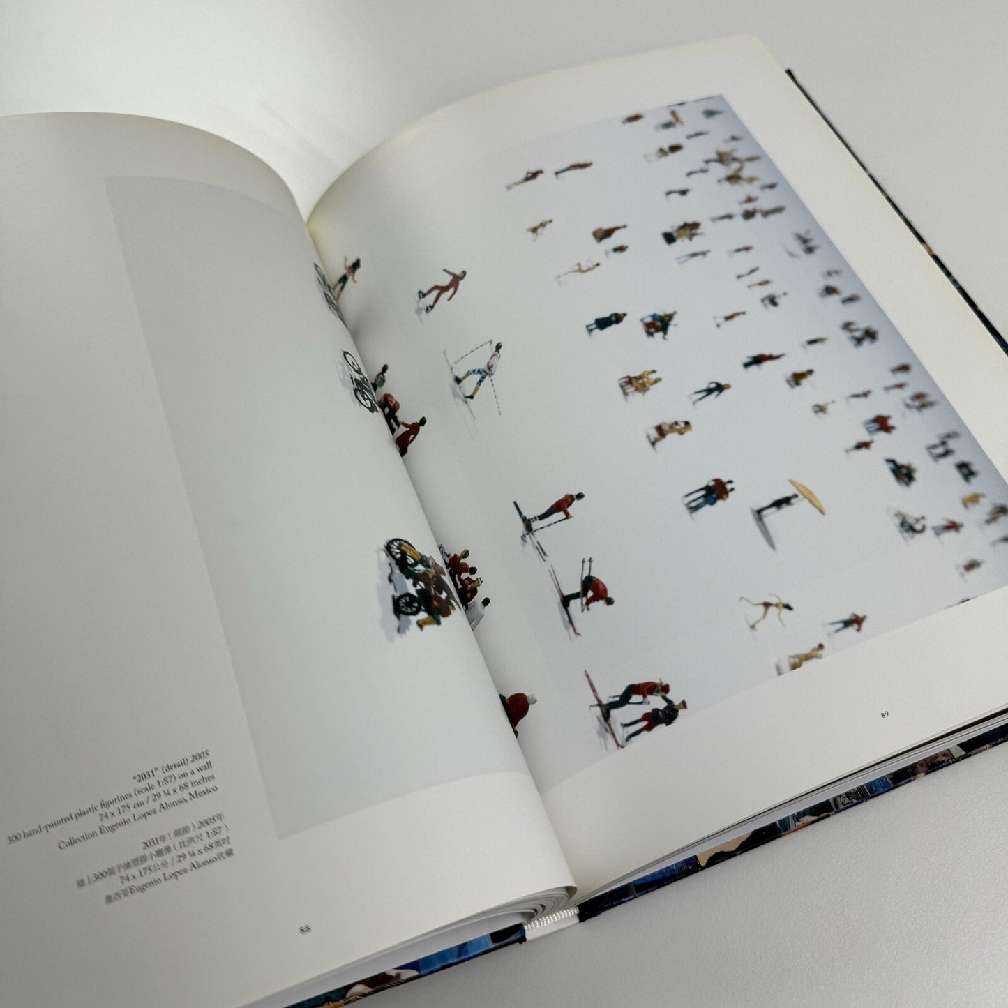 Guy Limone – Amongst | Galerie Perrotin 2012 exhibition catalogue