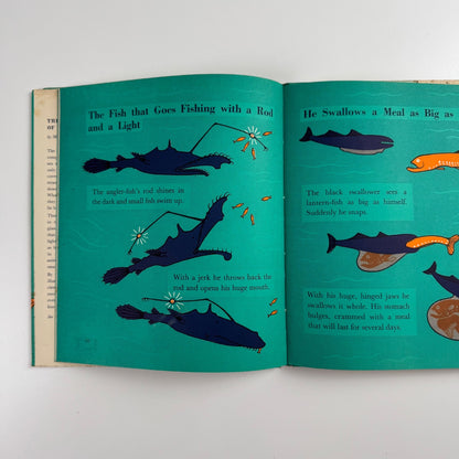 The Wonder World of the Deep Sea by Marie Neurath | Max Parrish, 1955 Isotype Institute