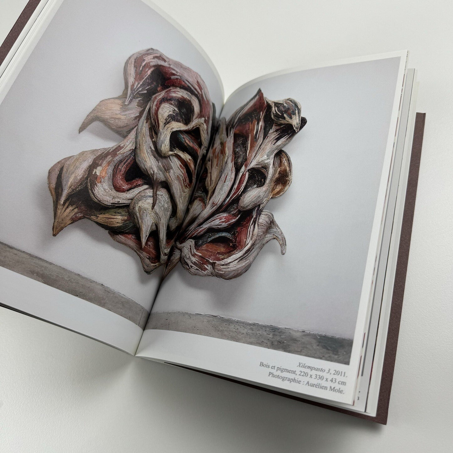 Henrique Oliveira | Marc Bembekoff, Felipe Scovino. Sam Art Projects, 2013 catalogue