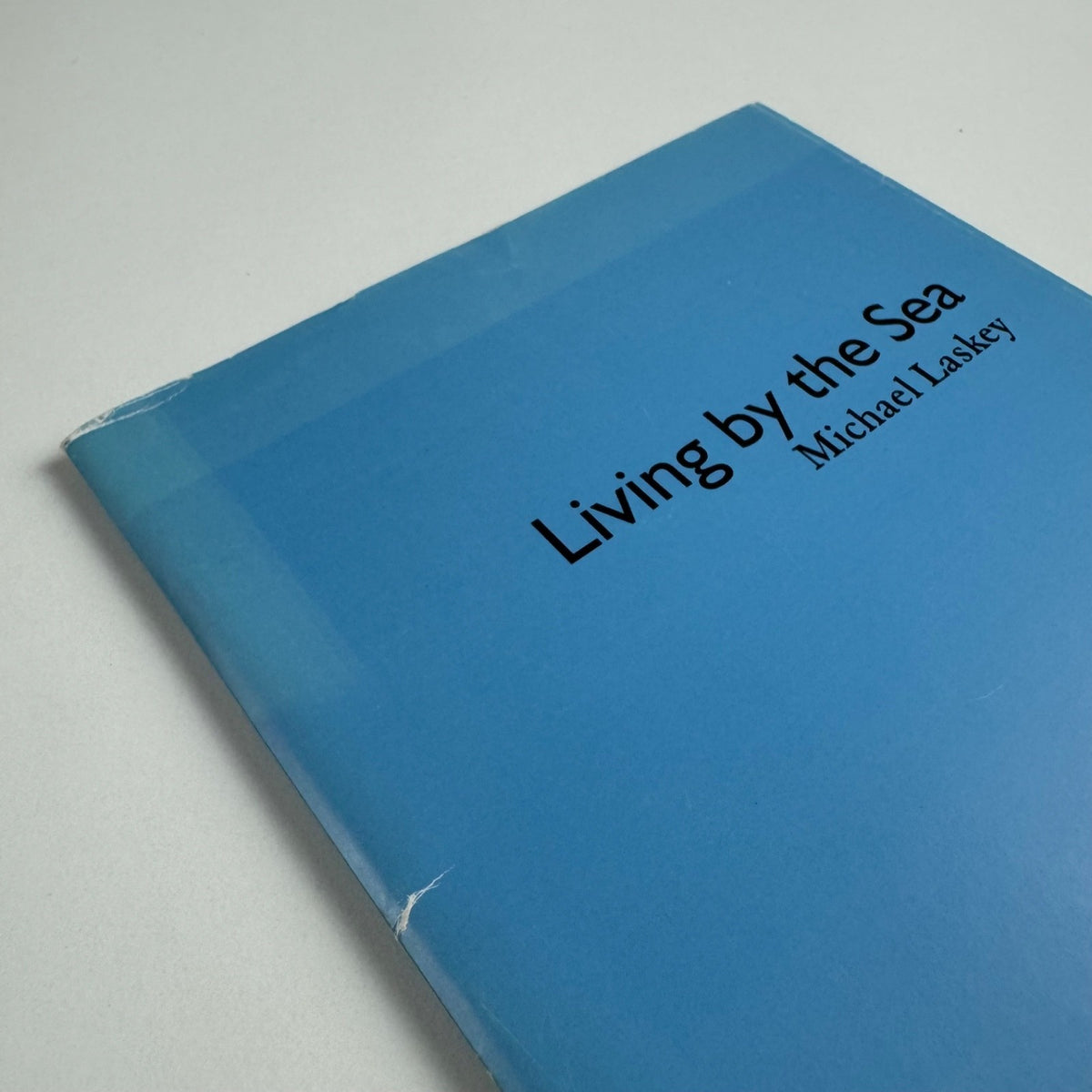 Living by the Sea by Michael Laskey | Smith/Doorstep Books, 2007