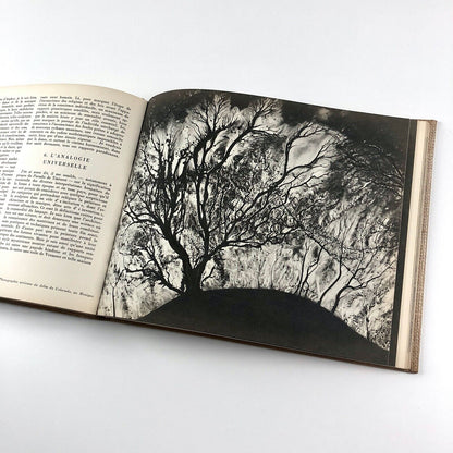 L'Esprit des Formes by Elie Faure | Club Libraires de France, 1957