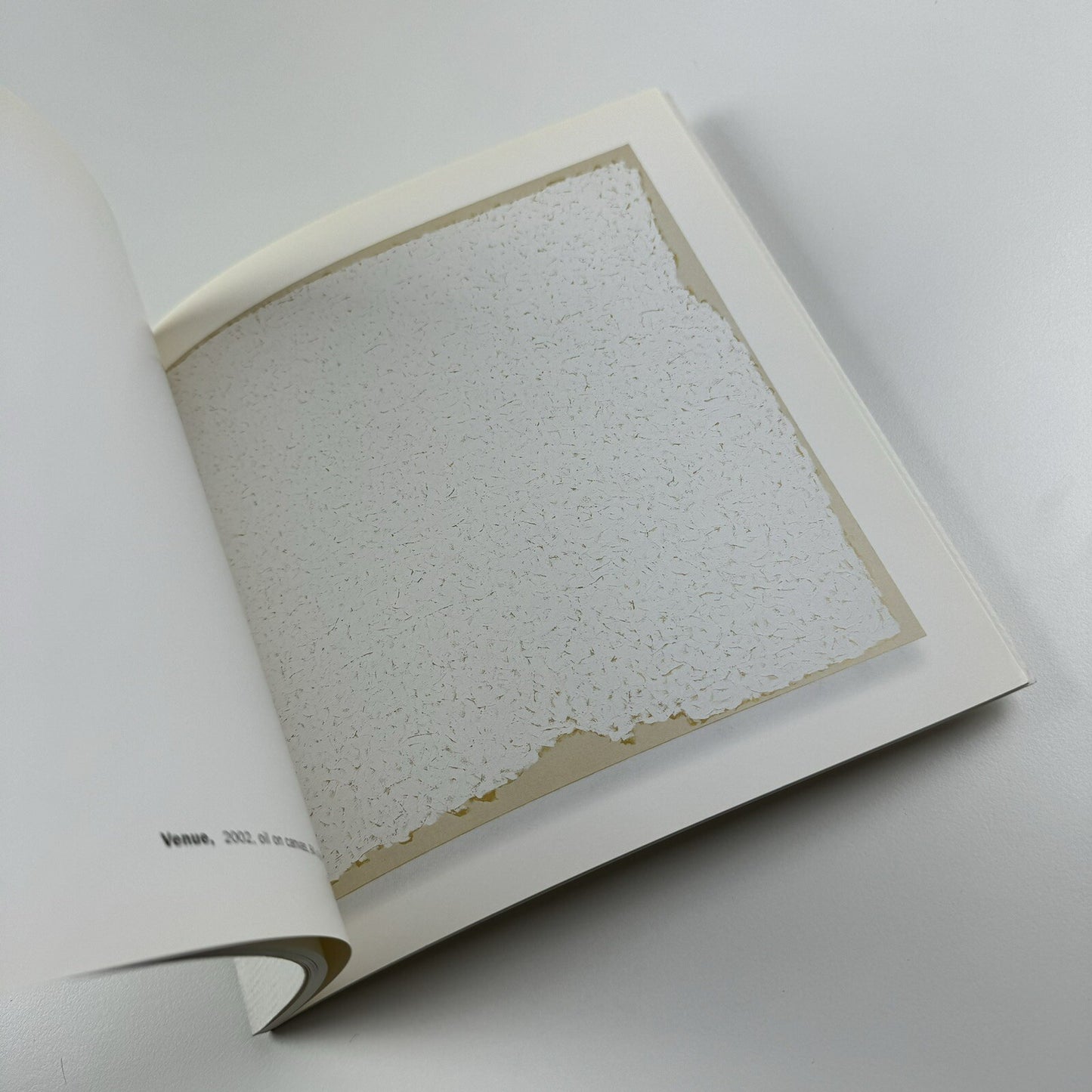 Robert Ryman | Haunch of Venison exhibition catalogue, 2003