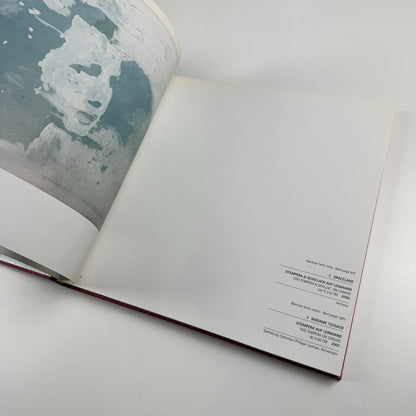 Miriam Vlaming. You promised me | Kunsthalle Mannheim catalogue 2008/9