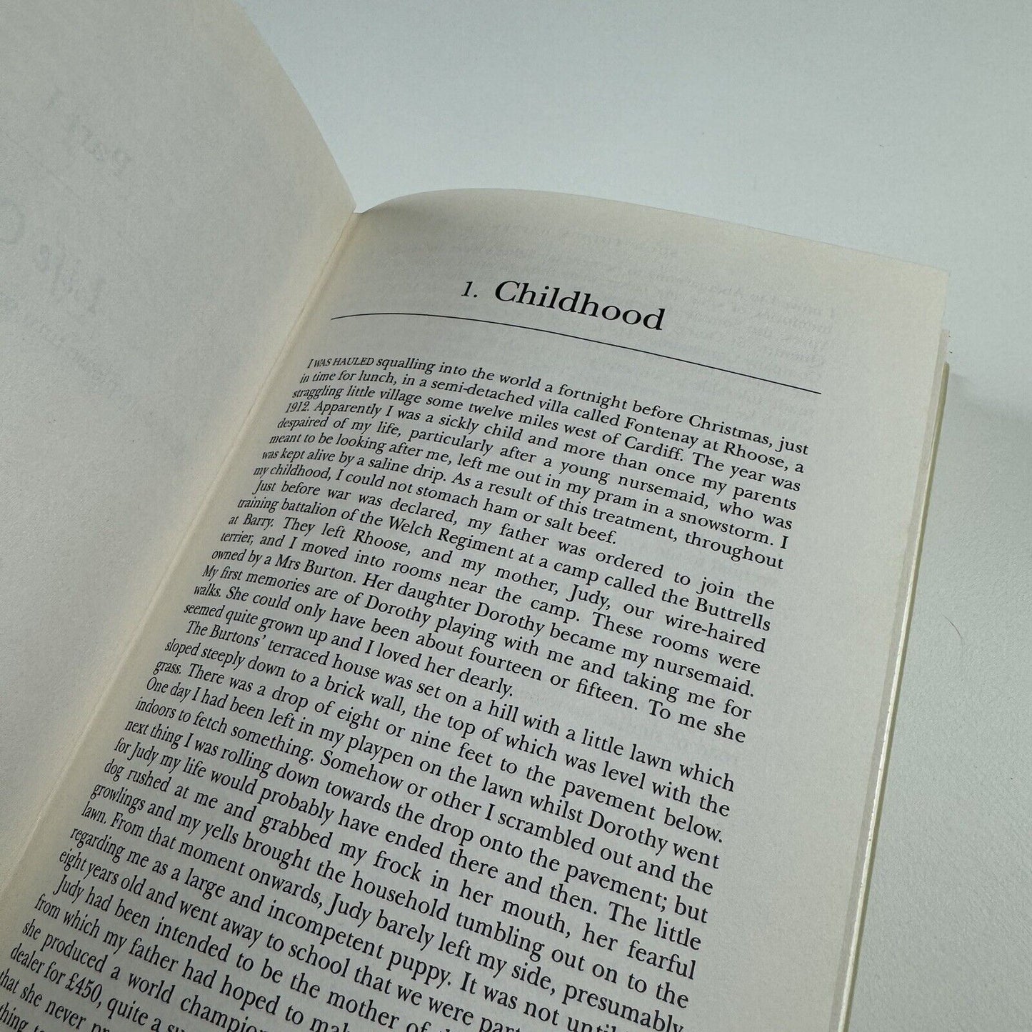 Such things happen. The life of a typographer by John Lewis | Unicorn Press, 1994