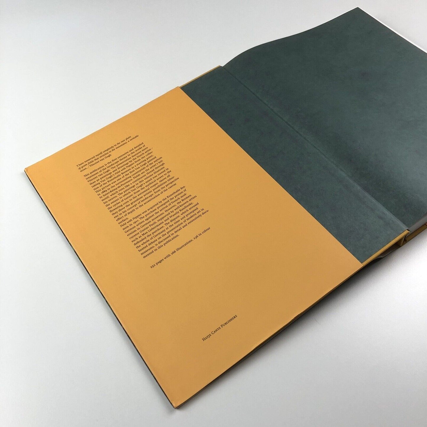 Van Gogh: Fields. The Field with Poppies and the Artists’ Dispute | Edited by Wulf Herzogenrath and Dorothee Hansen | Hatje Cantz, 2002
