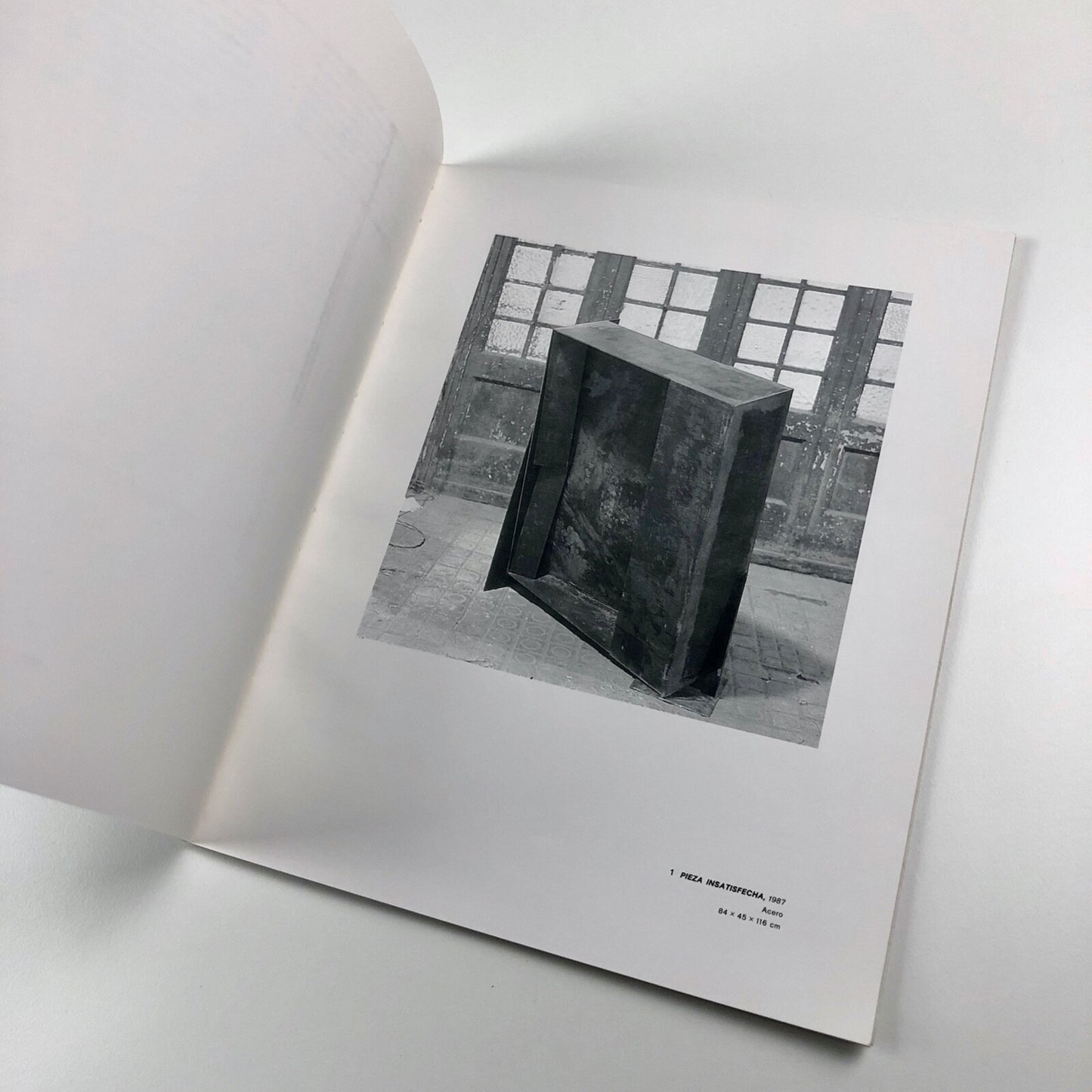 Txomin Badiola | Galeria De Arte Soledad Lorenzo, Madrid exhibition catalogue, 1987