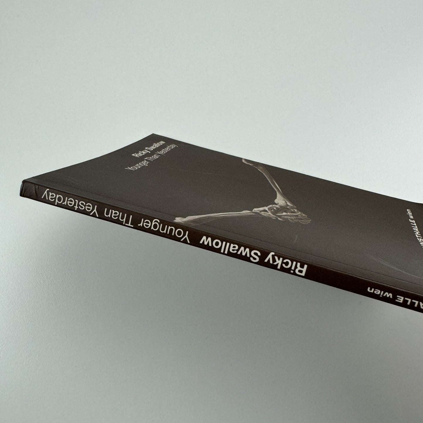 Ricky Swallow. Younger Than Yesterday | Kunsthalle Wien 2007 catalogue