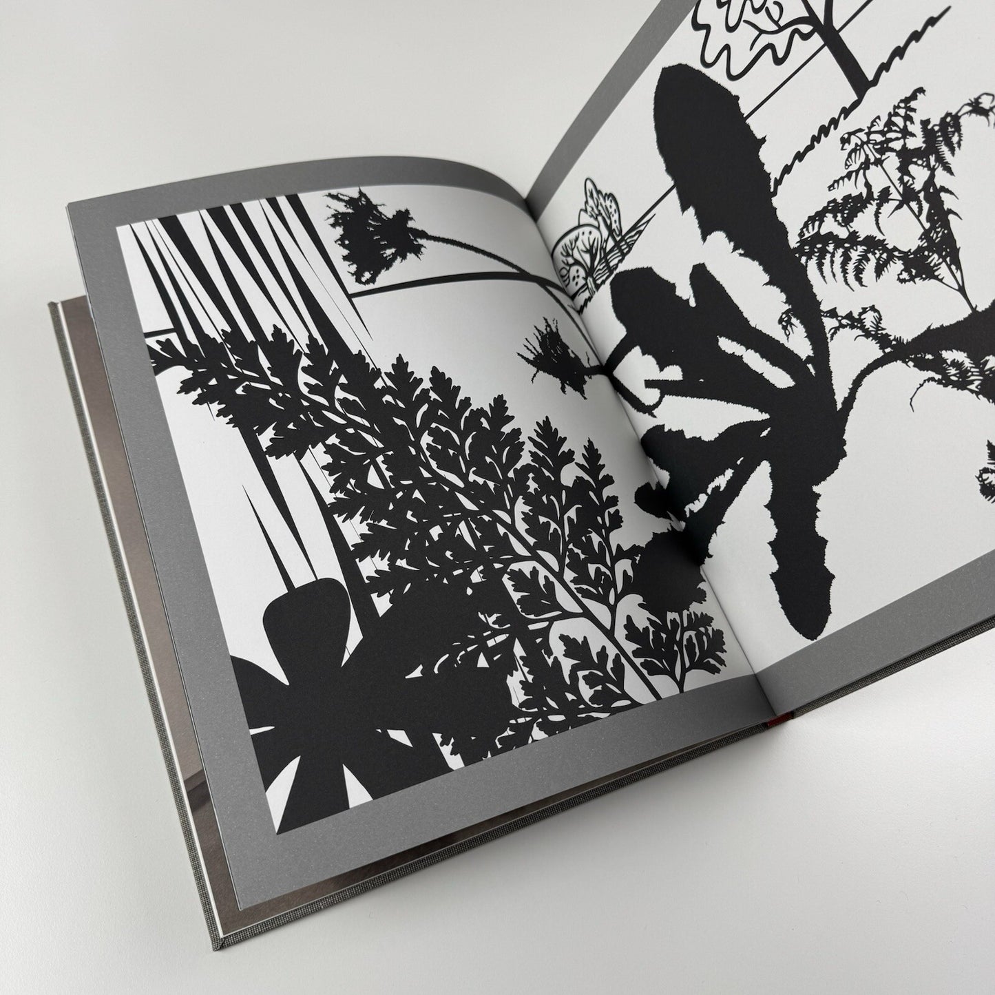Paul Morrison | Los Angeles Art Museum exhibition catalogue, 2008