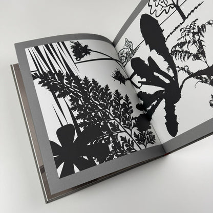 Paul Morrison | Los Angeles Art Museum exhibition catalogue, 2008
