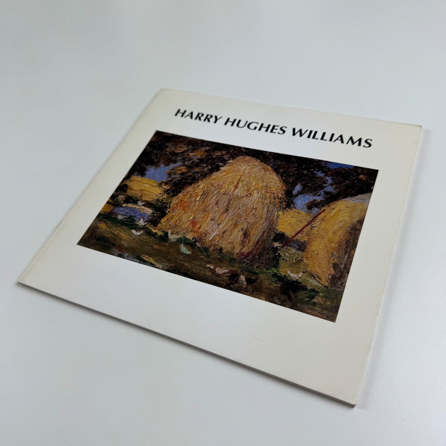 Harry Hughes Williams | Oriel Ynys Môn, 1992