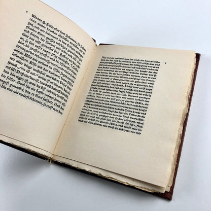 Proben einiger Hausschriften der Offizin W. Drugulin | Leipzig 1924 limited edition – one of 500 copies