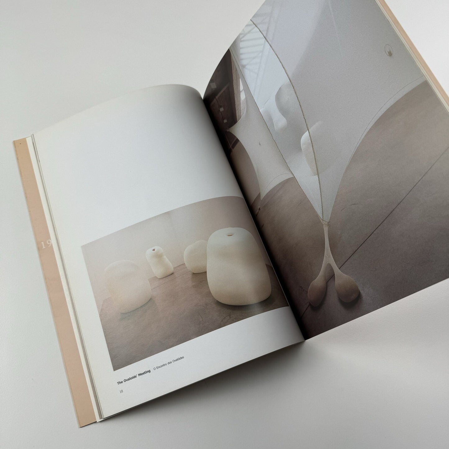 Ernesto Neto. naves, céus, sonhos | Galeria Camargo Vilaça catalogue, 1999
