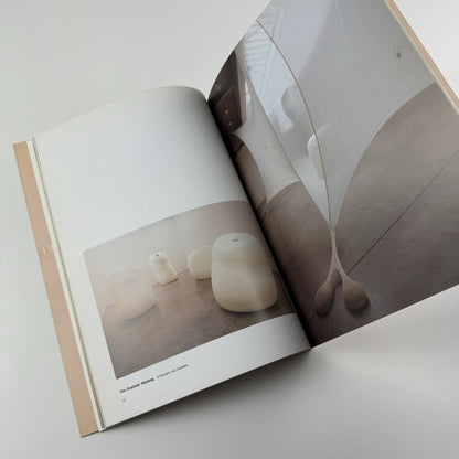 Ernesto Neto. naves, céus, sonhos | Galeria Camargo Vilaça catalogue, 1999