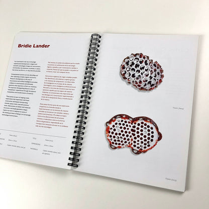 Paradigma – exhibition catalogue | Birmingham City Uni / Escola Massana 2009