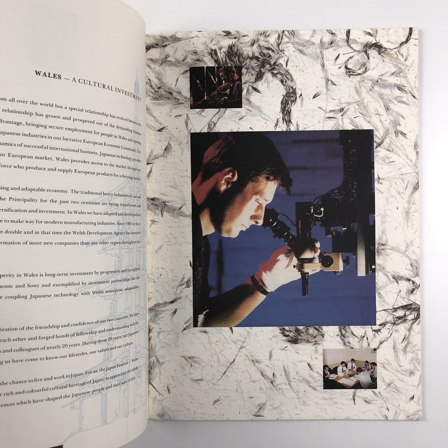 Japan Festival Wales, 1991 brochure and dinner menu and order of the evening