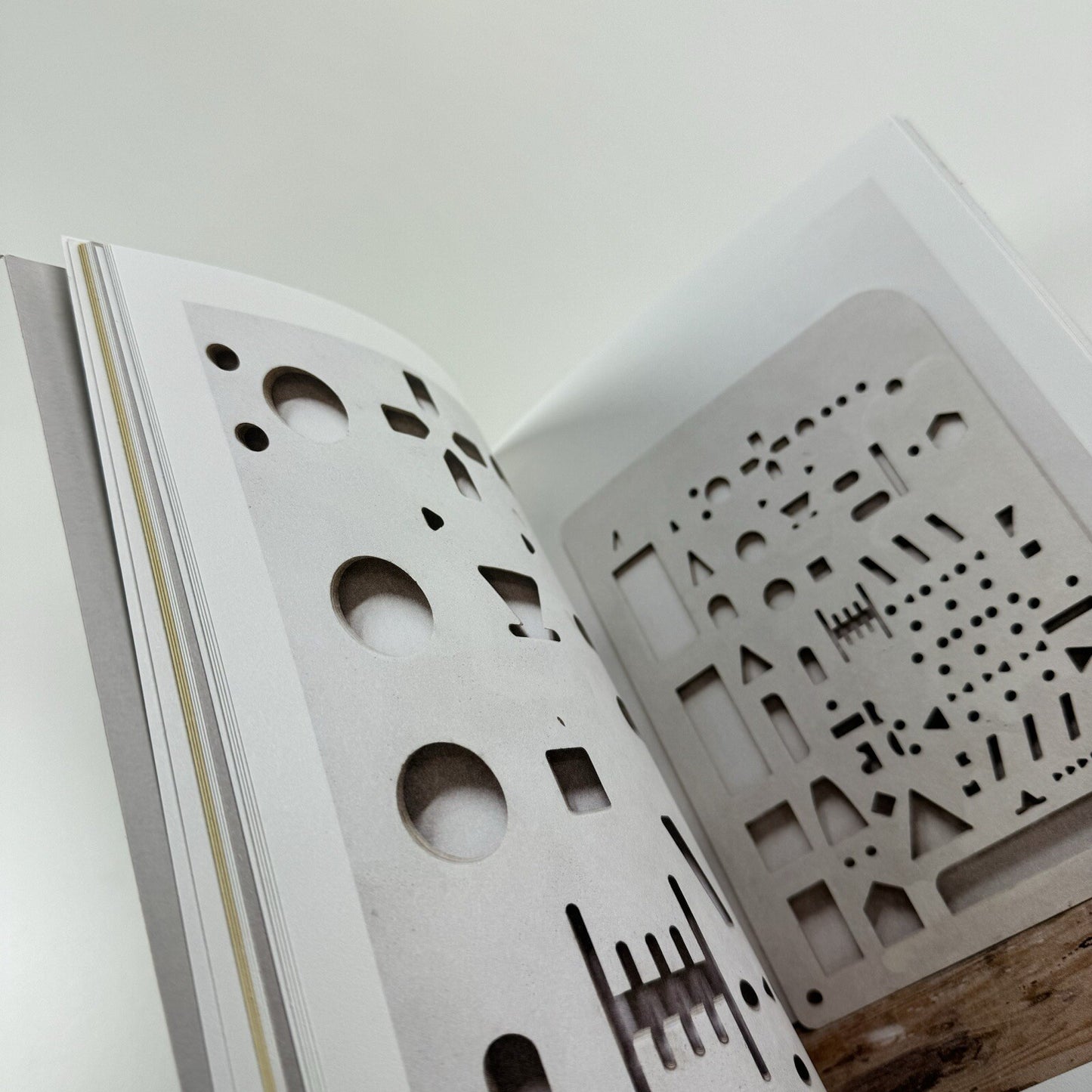Nick van Woert. Breaking and Entering | Yvon Lambert New York, 2011 catalogue