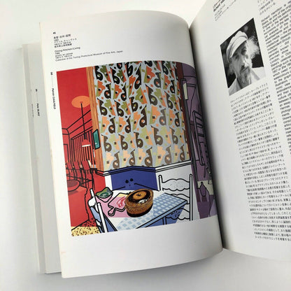 Pop Art: USA–UK | 1987 travelling Japanese exhibition | Lawrence Alloway