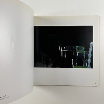 Mimmo Paladino. Black and White | Waddington Galleries, 2006