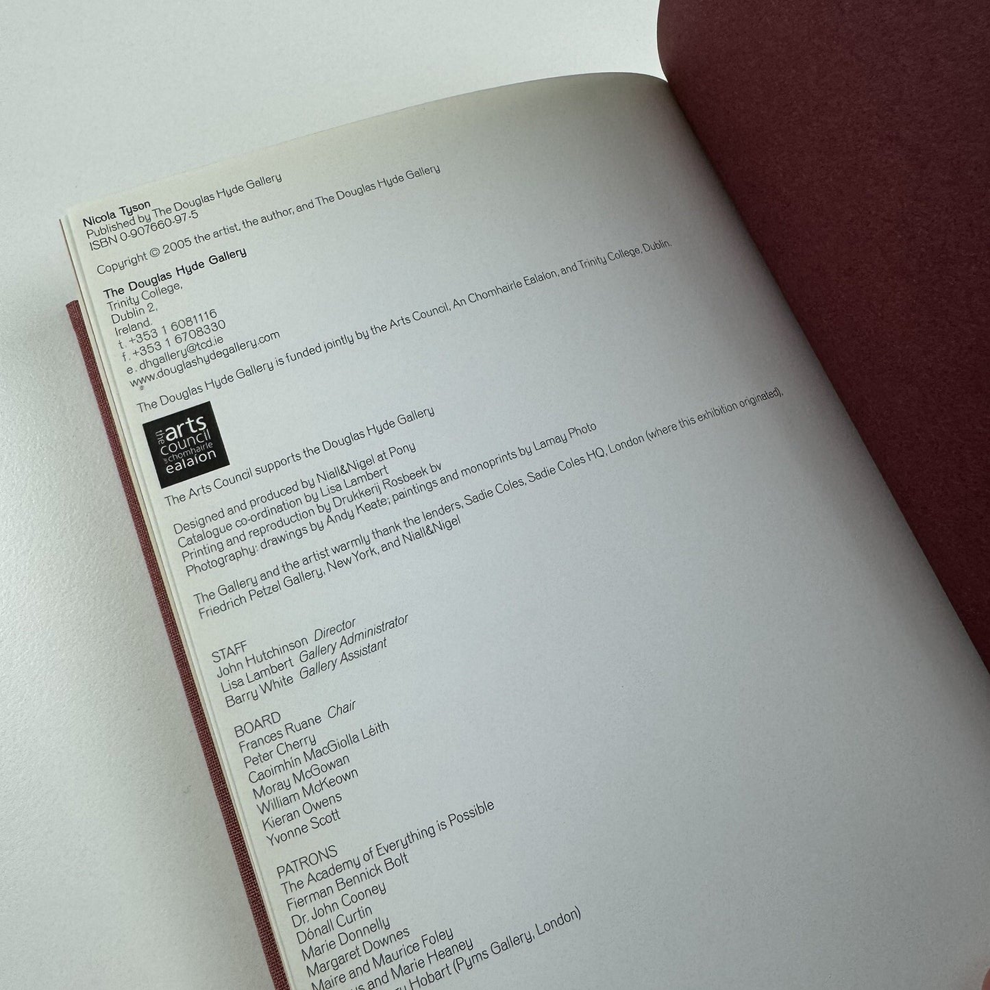 Nicola Tyson | The Douglas Hyde Gallery, Dublin 2005 | Exhibition catalogue