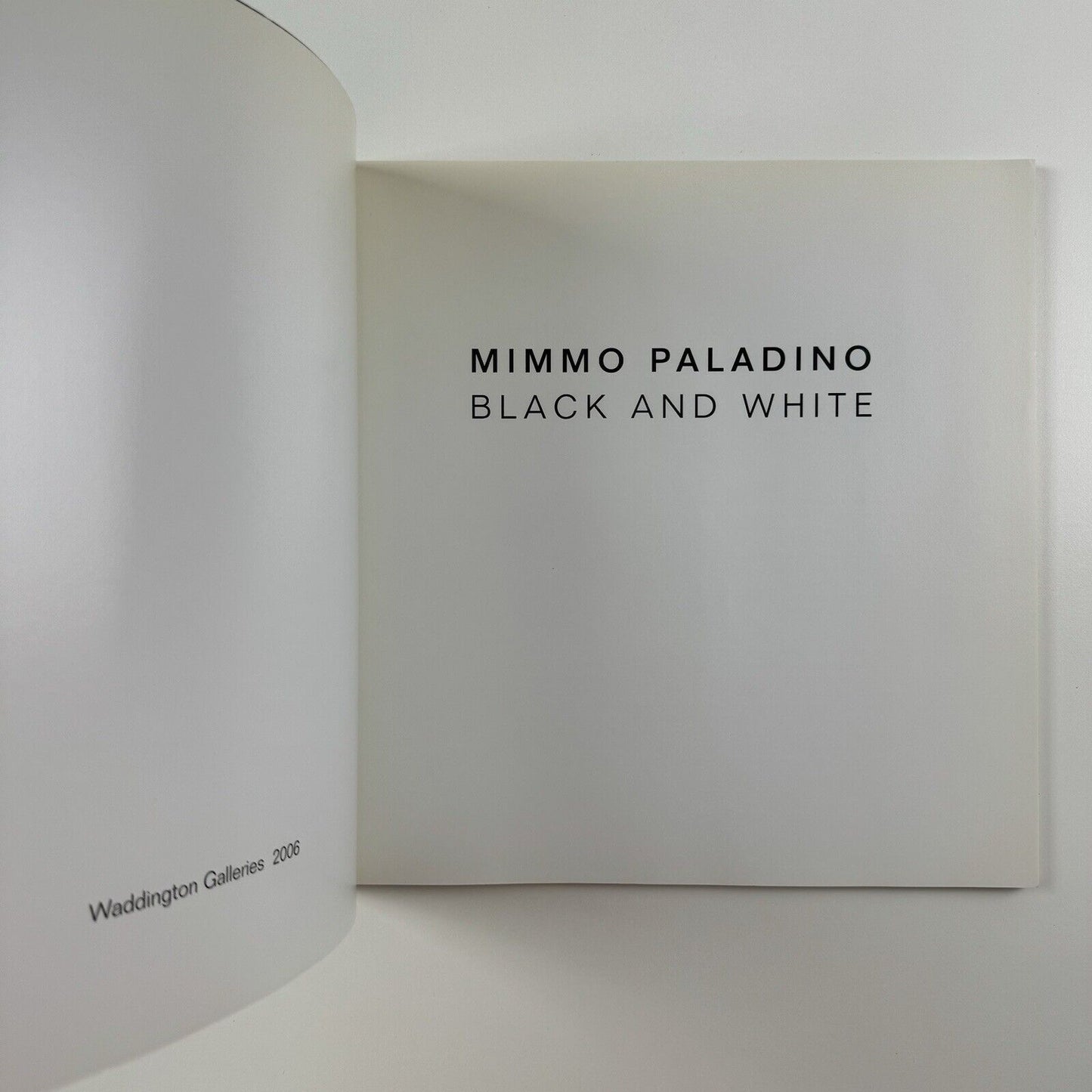 Mimmo Paladino. Black and White | Waddington Galleries, 2006