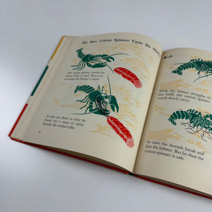 The Wonder World of the Seashore Marie Neurath, Max Parrish second edition Isotype Institute