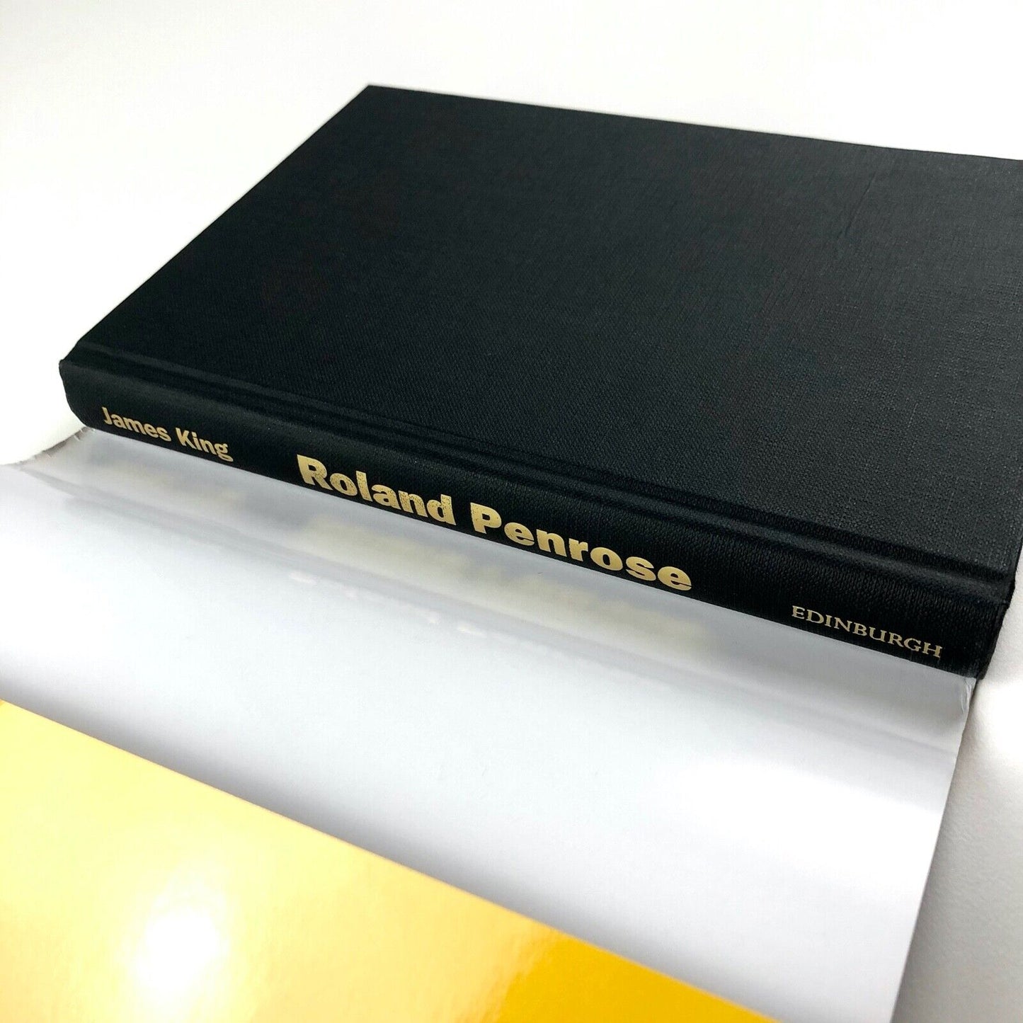 Roland Penrose: The Life of a Surrealist, James King | Edinburgh University 2016