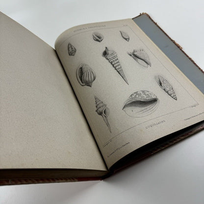 Enseignement du dessin par les solides applicable dans les écoles primaires, professionnelles & supérieures by Claude Sauvageot | Ch. Delagrave, Paris, 1882