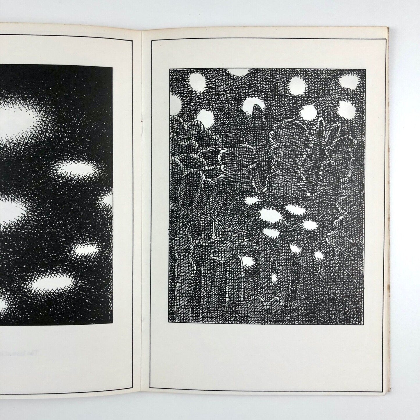 Transit of Venus by David Willetts | Coracle Press, 1975 | signed and numbered