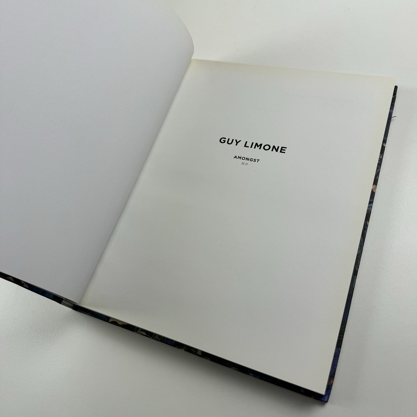 Guy Limone – Amongst | Galerie Perrotin 2012 exhibition catalogue