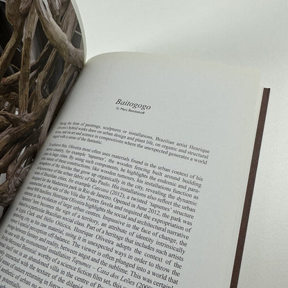 Henrique Oliveira | Marc Bembekoff, Felipe Scovino. Sam Art Projects, 2013 catalogue