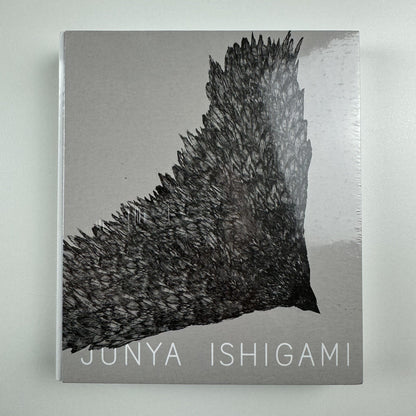 Junya Ishigami. Serpentine Pavilion 2019 | Koenig Books, 2019