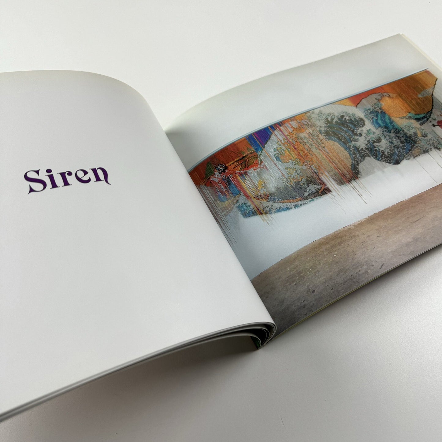 Philippe Bradshaw. Deitch Projects N.Y.| Galerie Thaddaeus Ropac, Paris, 2001