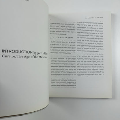 The Age of the Marvellous | One Marylebone Road | All Visual Arts catalogue, 2009 | Text by Joe Le Placa and John Paul Pryor
